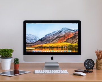 Computer Sitting On Desk with Plants