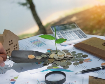 Plant Growing on Top of Money