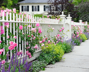 white picket fence with flowers growing out from behind and house in background